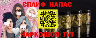 молекула духа Ставрополь